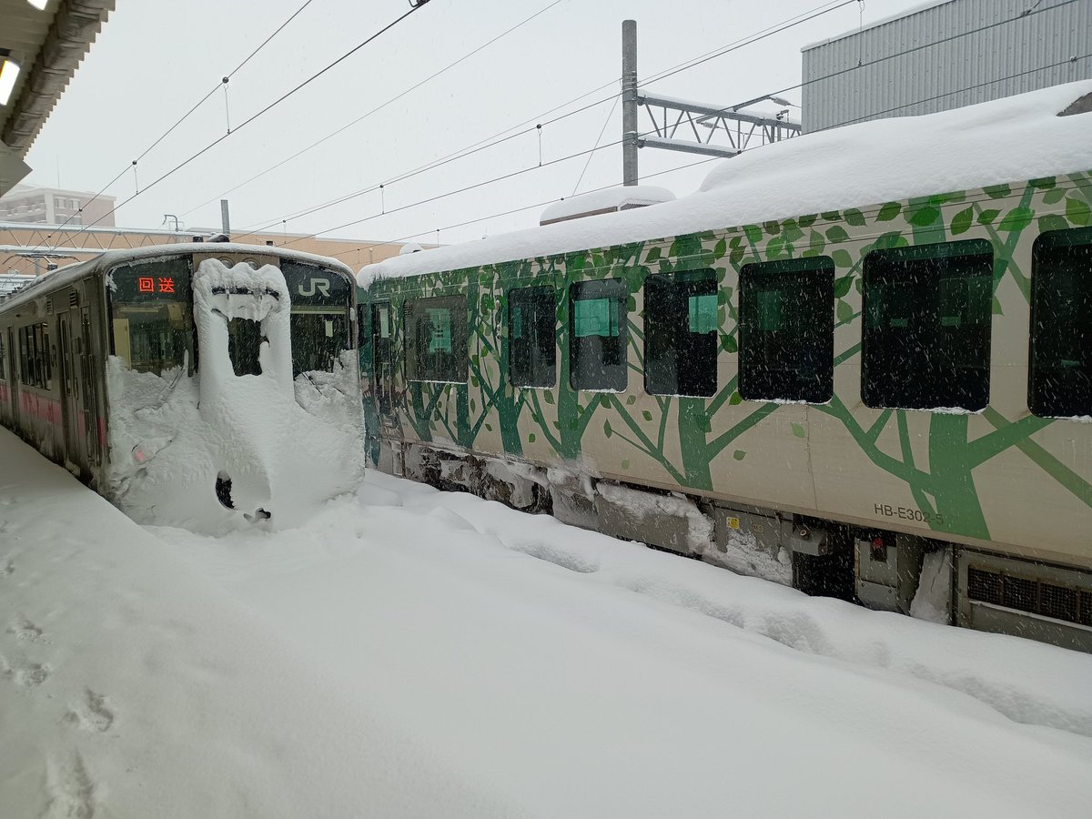 RailfanGuide's tweet image. 急に思い立って、青森空港降りて、五能線に乗ろうと来たらとんでもない雪。あちこち運休だらけ。
リゾートしらかみをスマホで撮ると、目に見える位の雪がふってる。まあ、このような珍しい写真が撮れたからいいかな。
