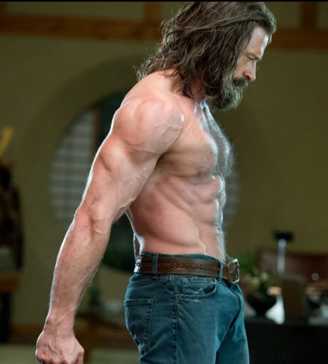 shadowtorh's tweet image. 