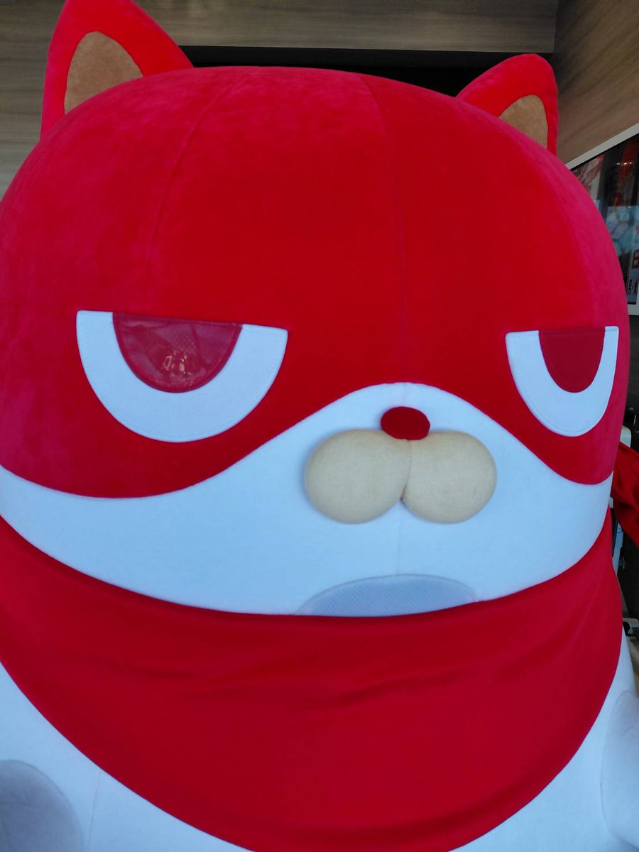 ニャンギラスから任された🤝🤝🤝 にゃんんまる