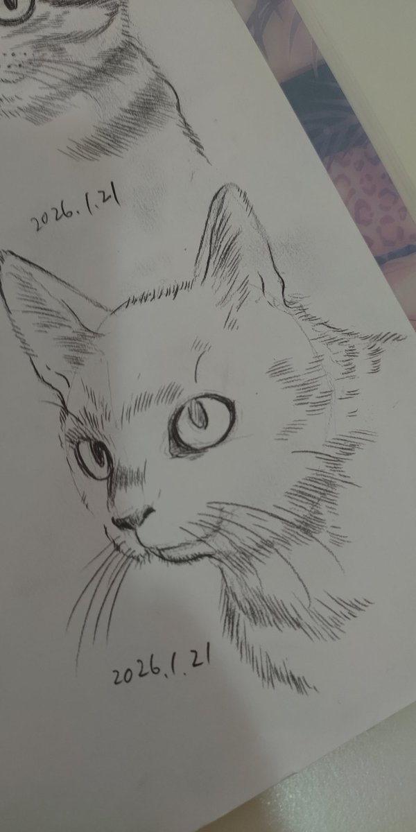 猫練習😺 