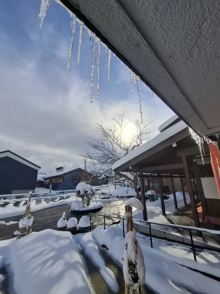 おはようございます。

大雪警報⚠️と、出てましたが…
長岡は思ったよりも積もりませんでしたね。
お店の様子はこんな感じです⬇️

今日は少し晴れ間も除くような穏やかなスタートです。暖かくしてお出かけください😌