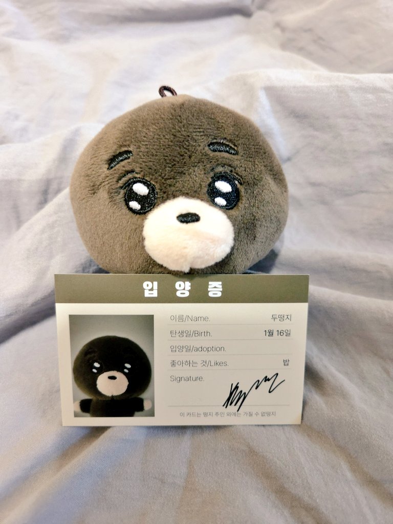 🐙ʙᴇᴀʀɢᴜᴍᴍʏ🐙 tweet media