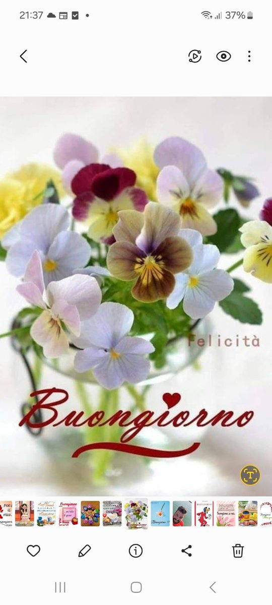 Marianna tweet media