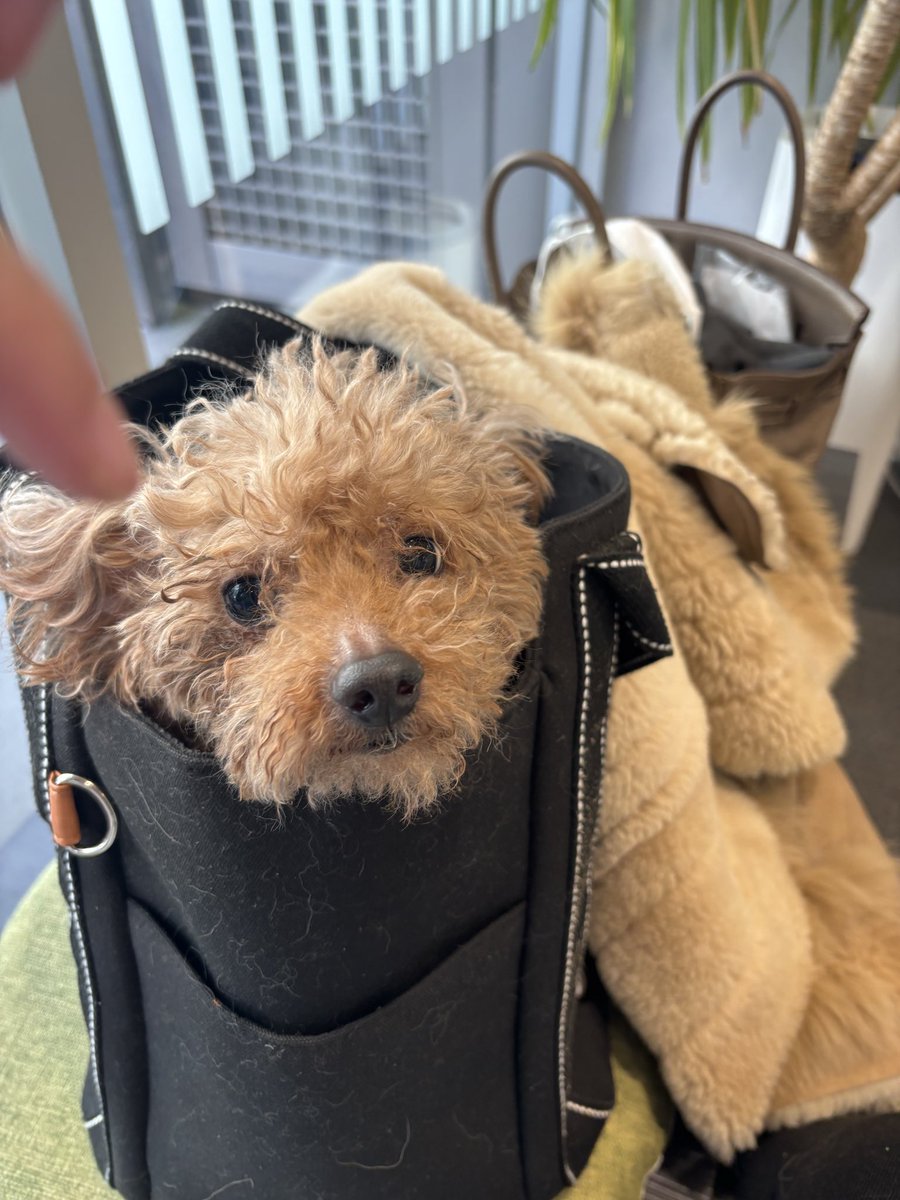 さーたん (@satan2319) / Posts / X