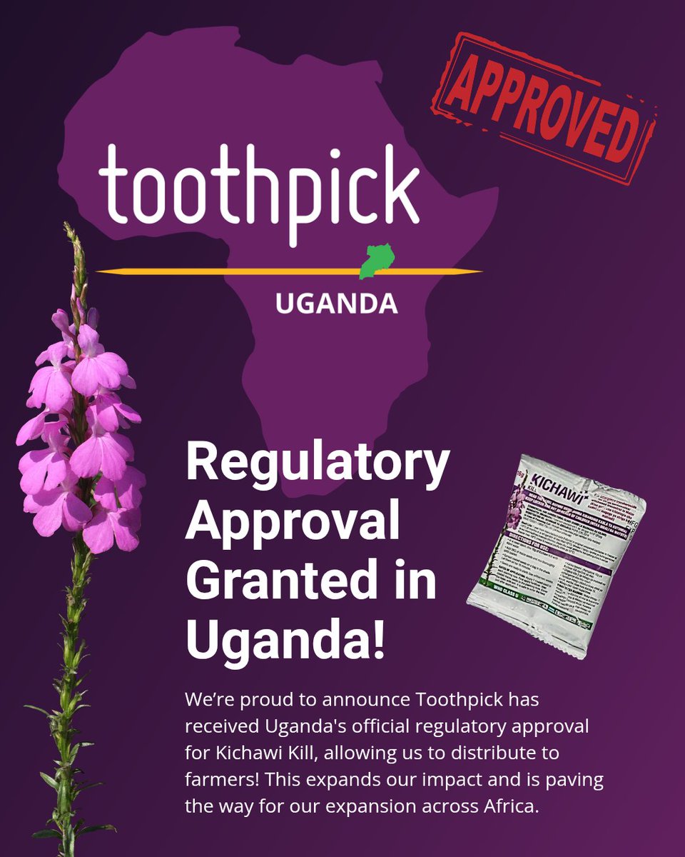 TheToothpickProject tweet media