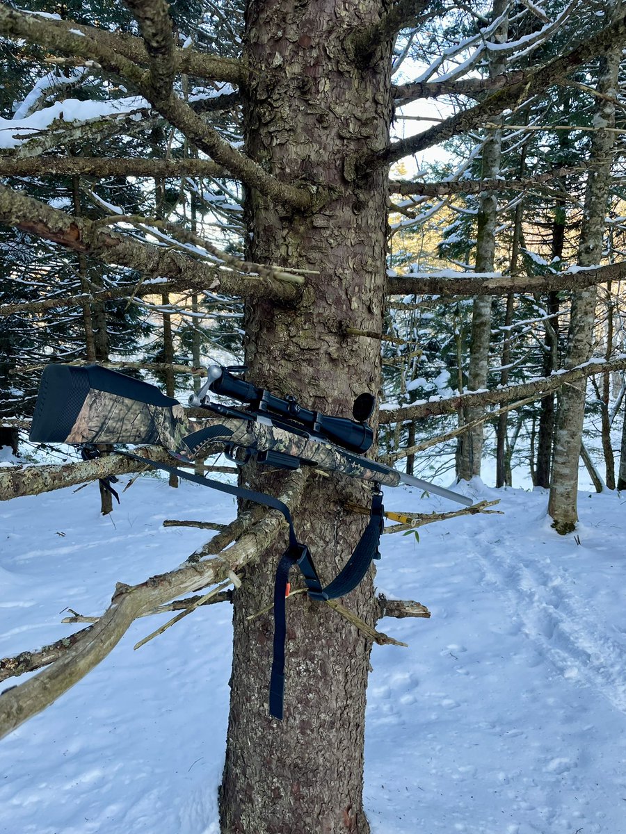 鹿追い人 tweet media