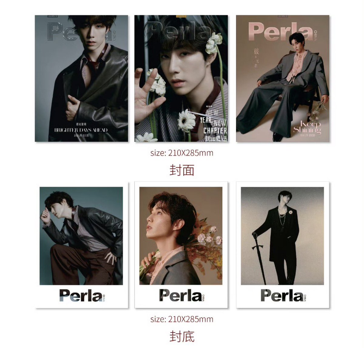 cholymarkk's tweet photo. นิตยสาร Perla มาสปอยและ 😭

• มี 3 ปก A/B/C
• โปสเตอร์ 3 แบบตามปก
• การ์ดเซลฟี่ 8 แบบ ( ถ้าอยากได้ครบ 8 ต้องซื้อ set D คือซื้อครบ 3 ปก )
• postcard 3 แบบ ตามปก
• การ์ดลายมือมาร์คต้องซื้อครบ 3 ปกถึงได้ 1 ใบ
• การ์ดโพลาลอย มี 12 แบบ ( ถ้าอยากได้ครบ 12 แบบ ต้องซื้อ set D คือซื้อครบ 3 ปก )

หวยงวดต่อไปออกอะไรนะคะ ㅠㅠㅠㅠㅠㅠㅠㅠㅠㅠㅠㅠㅠㅠㅠㅠㅠㅠㅠㅠㅠㅠㅠㅠㅠㅠㅠㅠ #marktuan