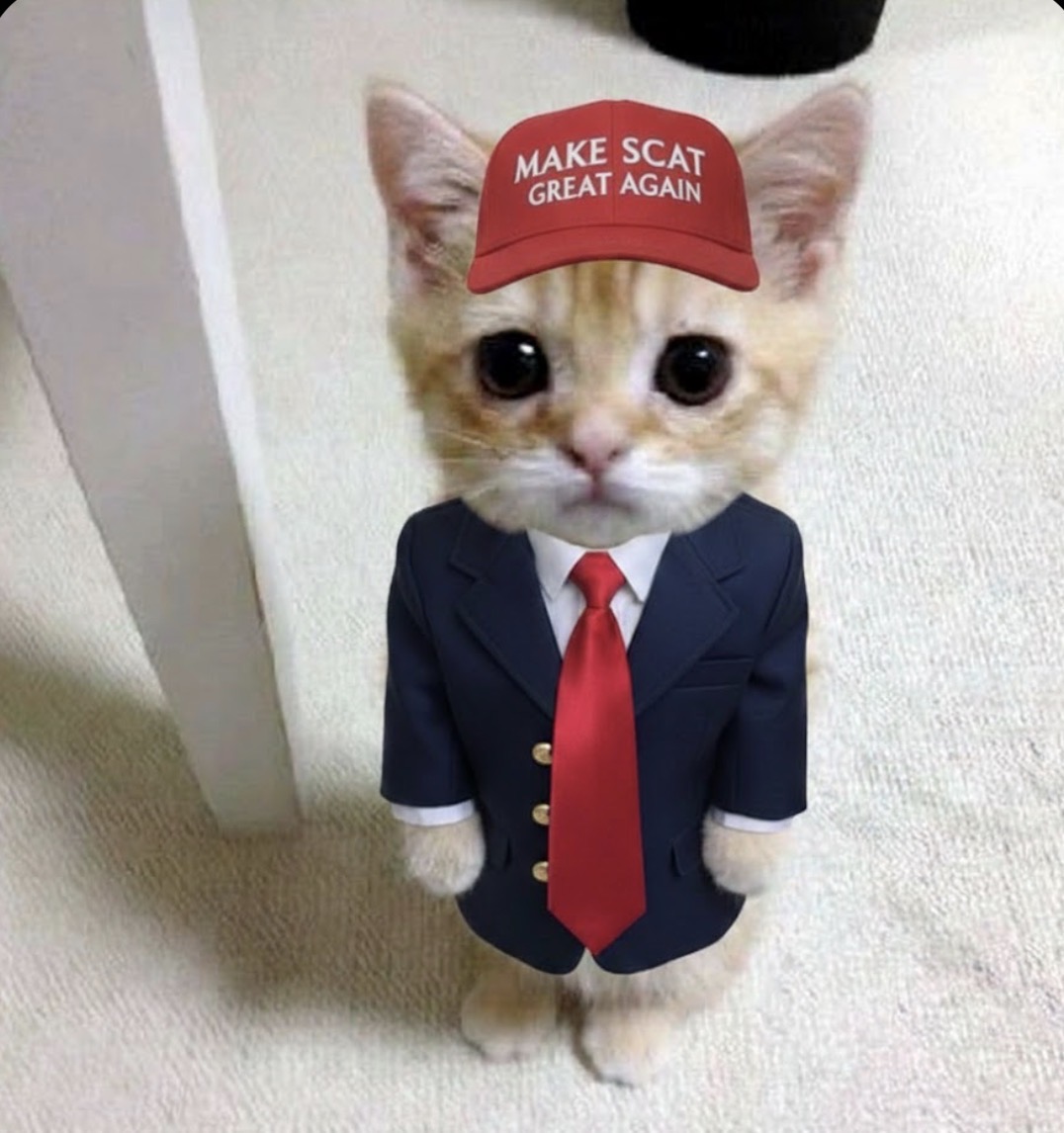 Standing Cat (SCAT) tweet media