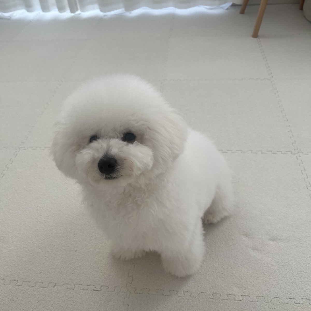 abefukumaru's tweet image. 