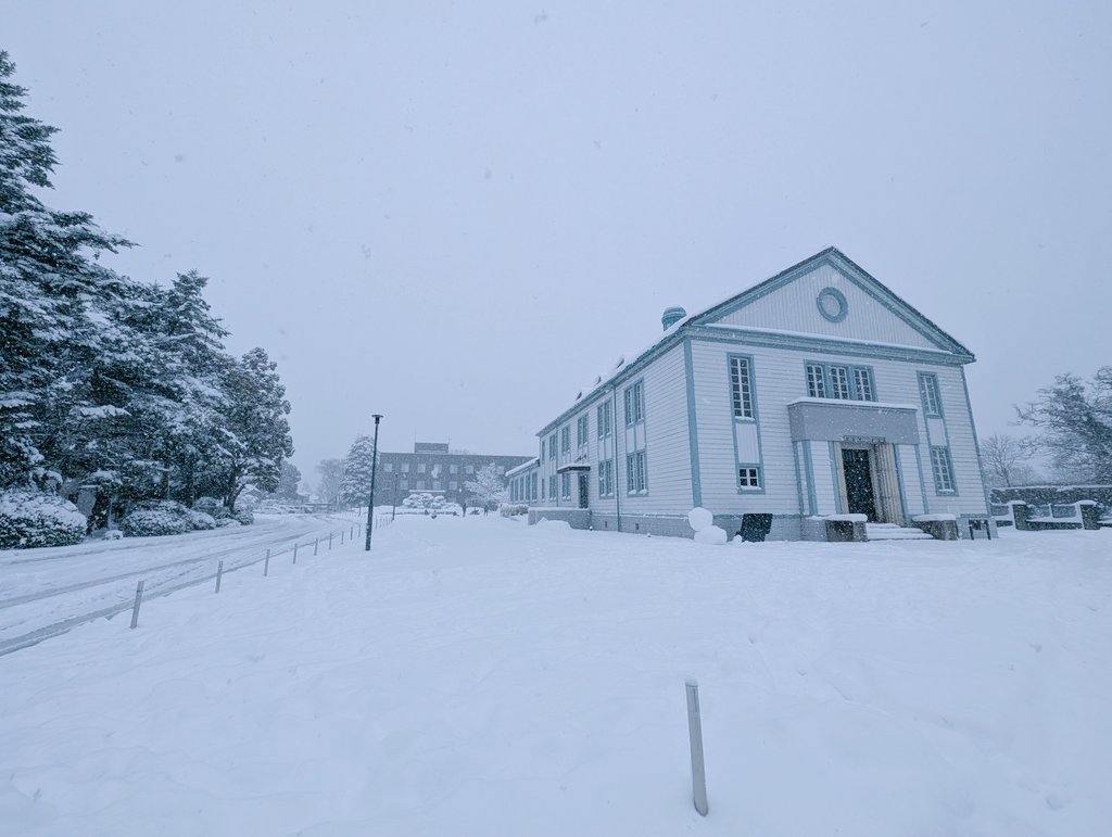 今日の彦根は一段と寒いなり…🥶
皆滑らないよう気をつけるなりよ〜