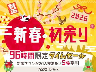 ⏰ラスト3時間⏰‼️ 96時間限定タイムセール、本日15時までです！ 対象