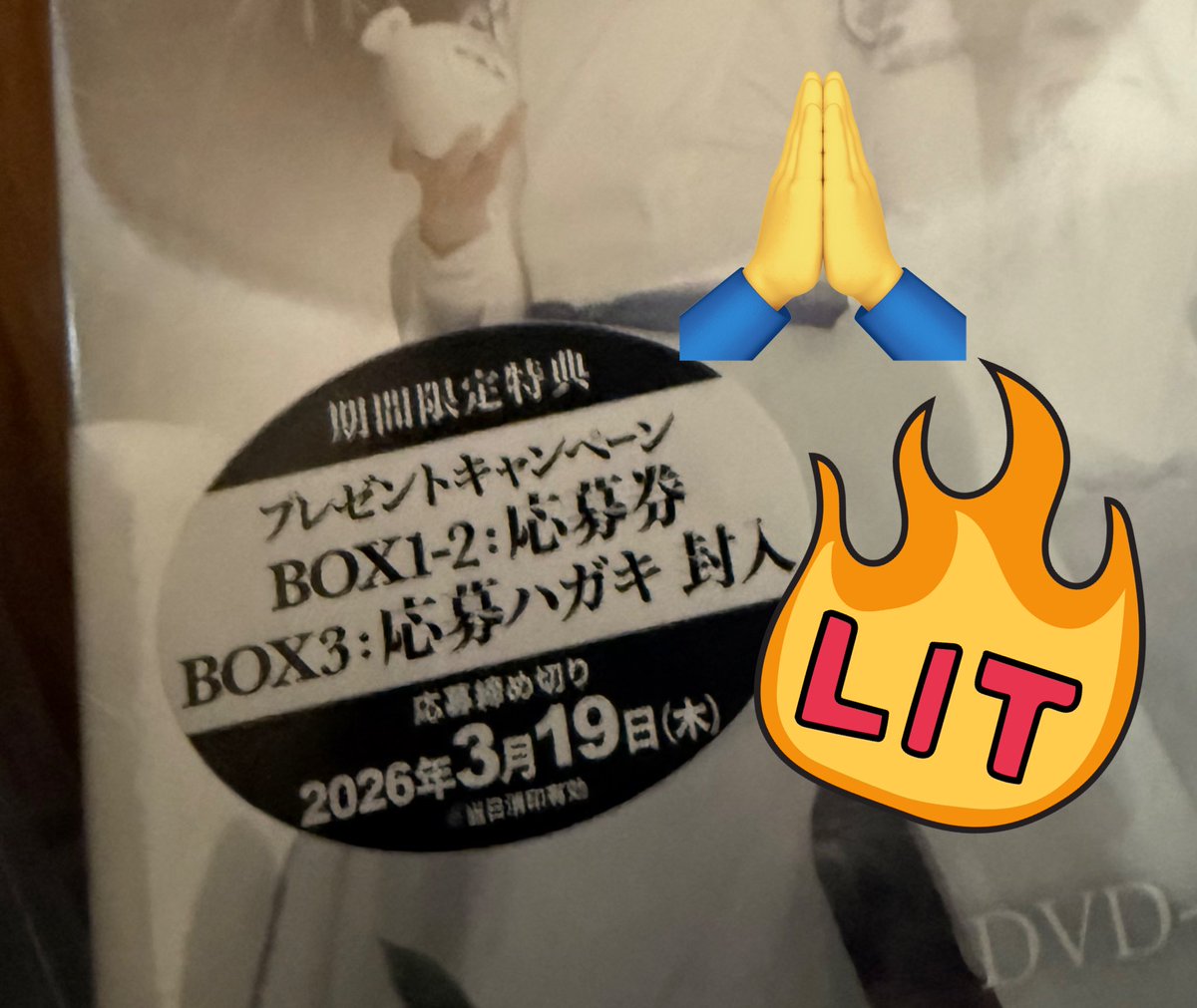 届きました❣️❣️❣️
Blu-ray持ってるから
DVD買いましたーー🫡
🚗用✨✨

#陳情令スペシャルプライス版
#陳情令 
#王一博   
#肖戦