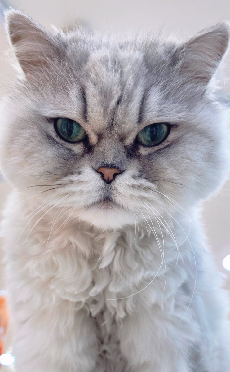 원우앓이✨️ tweet media