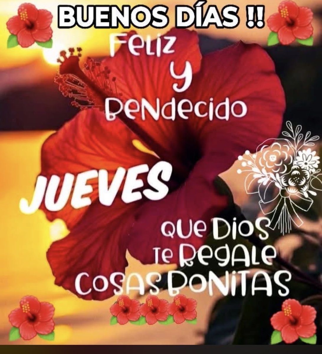 conchapelaroro's tweet photo. https://t.co/PSSAF2xvNH
