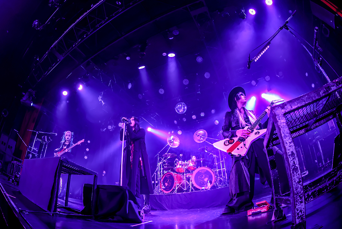 ミュージック PENICILLIN THE LIVE 3 ミュージック PENICILLIN THE LIVE 3 ミュージック PENICILLIN THE