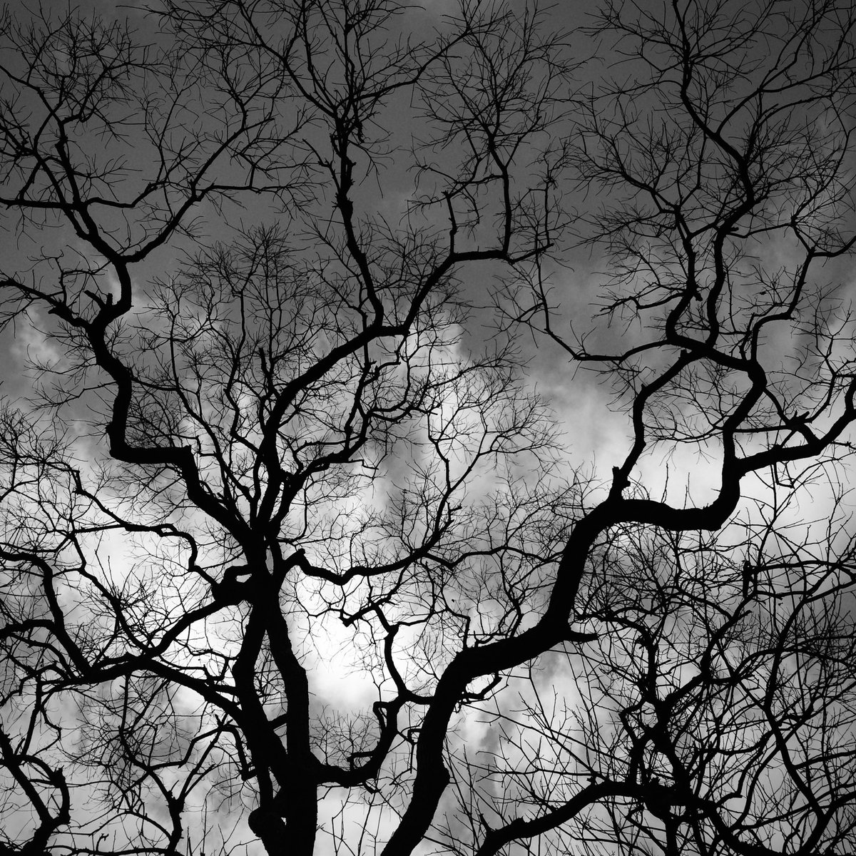 The Ink of Existence | 存在的笔触
Beneath the immense void, life is but a hard, black dot.
巨大的虚空之下，生命只是一个坚硬的黑点。
4th piece of "Eastern Echoes".
Mint on <a href="/zora/">$zora</a> &amp; <a href="/base/">Base</a> ↓
> zora.co/coin/base:0xcb…
 #NFTPhotography #BnW #Zora #Base