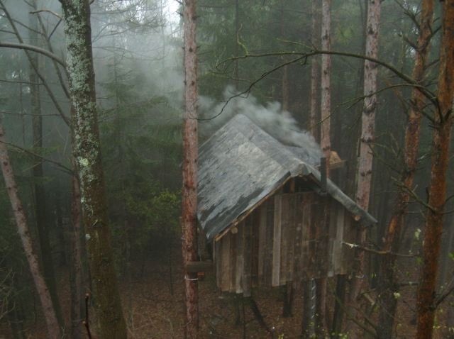 ancilladominii's tweet image. 