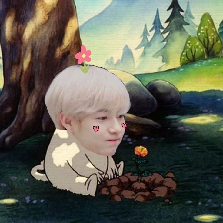 obvicutie's tweet image. ️

ㅤ𓂃 ⁺ 〔 #OURDREAMIES 〕─ . ִֶָ𖤐
⠀⠀⠀⠀𝗗𝗥𝗘𝗔𝗠𝗘𝗥_𝗚𝗘𝗢𝗥𝗚𝗜𝗢🦊
ㅤ
💬 Saw lots of my meme online... 🥸🥸
💬 And I saved this one... 🌸
💬 𝘚𝘦𝘯𝘥 𝘢 𝘱𝘩𝘰𝘵𝘰. 
💬 Hahaha, so cute!!!
💬 I like it so much 😭😭😭
💬 How tiny I am... 🤏

 ️