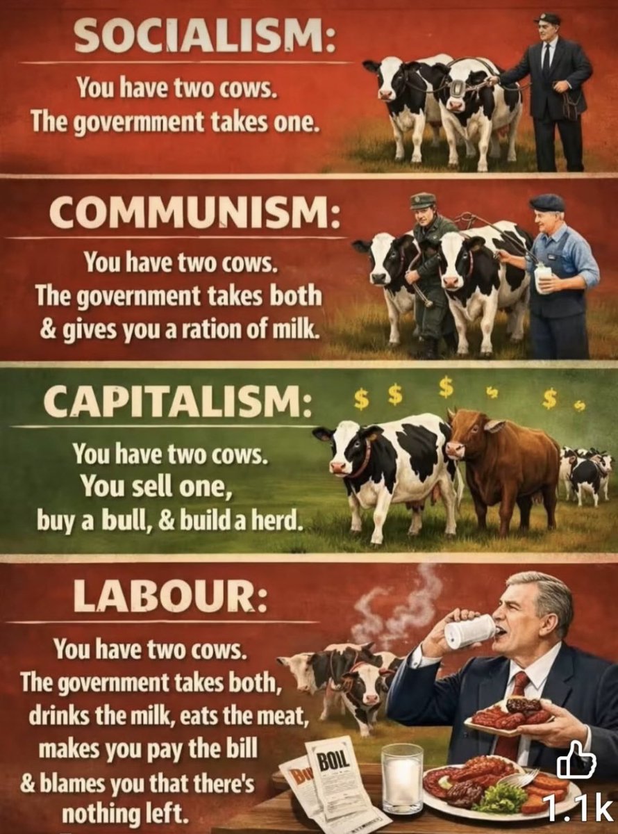 WendtheWalker's tweet image. The truth - The reality is right in front of us; it’s a shame so many are unwilling to acknowledge it.