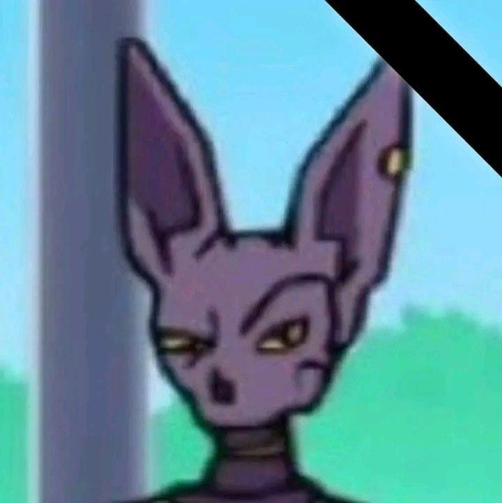 ChonchoMann's tweet photo. @BlvckBulmaa Powerscaling aside I don't think Vegeta gives a Yardrat's ass about his father and Goku would barely remember Bardock if at all https://t.co/yv2elAd60G