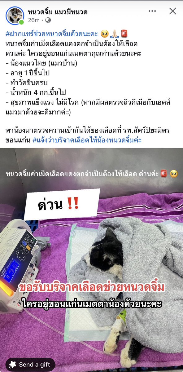 ขอความเมตตาน้องหน่อยนะ น้องเพิ่งจะได้เจอคนใจดี เพิ่งมีคนรักและเอ็นดูไม่นาน