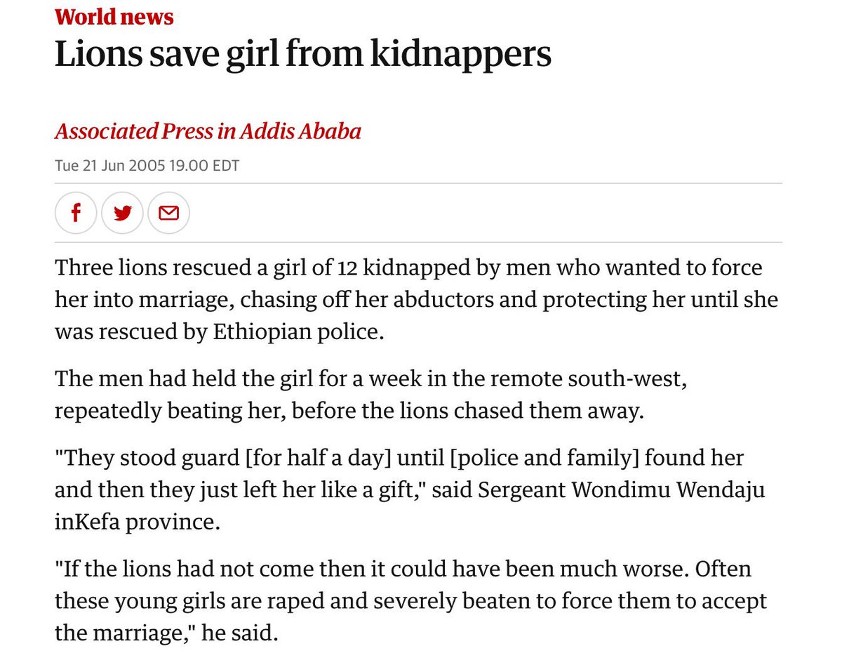 이왜진. 세마리가 같이 있었다는 걸 보니 암컷일테고, 동물 암컷들이 봐도 인간 여자가 진짜 불쌍해보이나봐… 동물들도 여돕여하는데 남미새들은 인간수컷이랑 엮어서 사자님들 밥으로 던져드려야하는 거 아닐까?