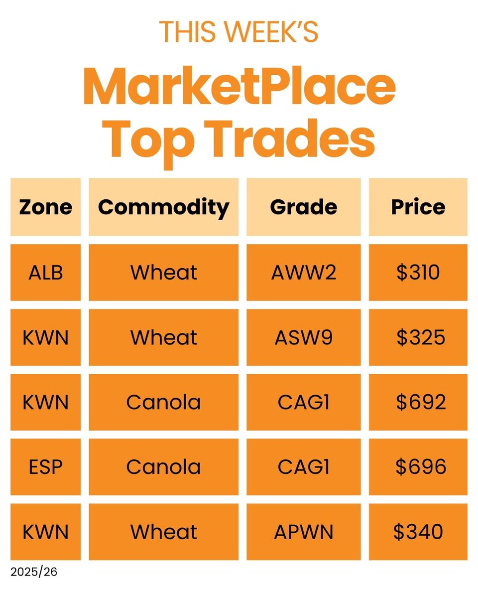 DailyGrain tweet media