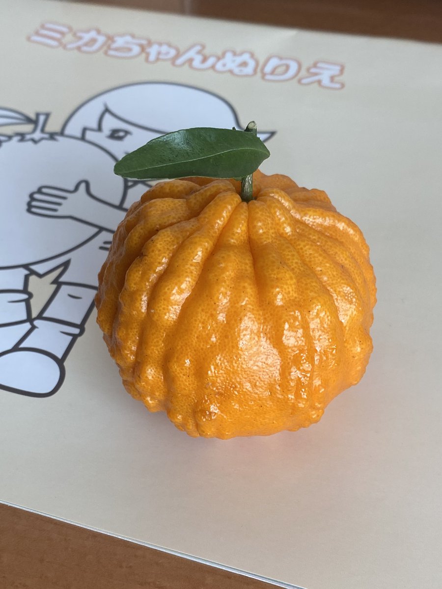 みかんノート (@mikanflavor1) / Posts / X