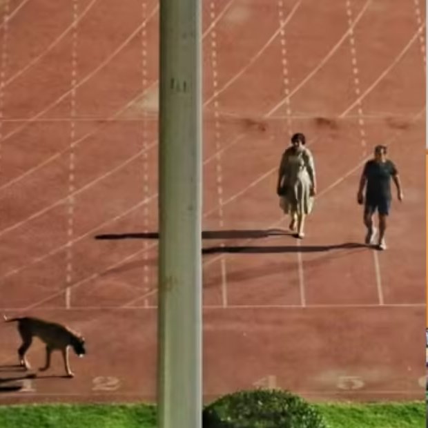 The Tatva tweet media