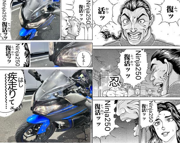 ここあちゃん@日本一周中 (@cocoachang558) / Posts / X