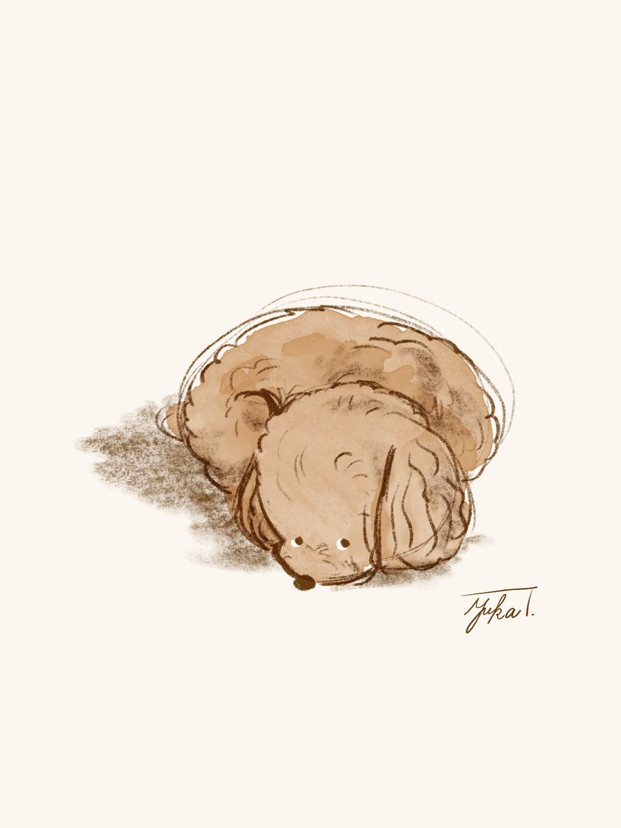 今日はお腹が痛くて1日こんな感じです。(私が)