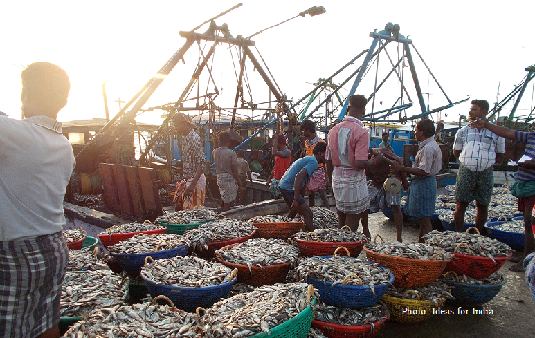ncaer's tweet photo. India’s fish food basket is changing from freshwater staples to premium seafood.

NCAER research staff members @sauban_10 and @joshi_ljoshi find a shift from freshwater fish to higher-value marine fish and shrimp, with implications for nutrition, livelihoods, and fisheries policy.

Read more: https://t.co/PEMROJ2Lul