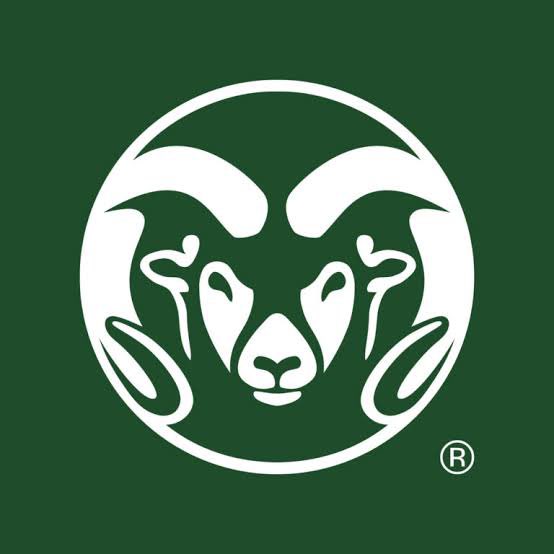 coachbbenson57's tweet photo. Thank you Coach Ah You @Matty_AhYou for taking the time to recruit our guys at Wood Cross @WX_Football https://t.co/ECHVh19IwI