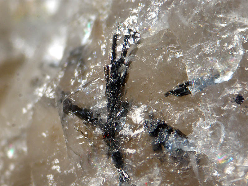 アマテラス石(TL) 大佐山(岡山県) 新見市で発見の新鉱物「アマテラス石」の展示が話題に 岡山市の