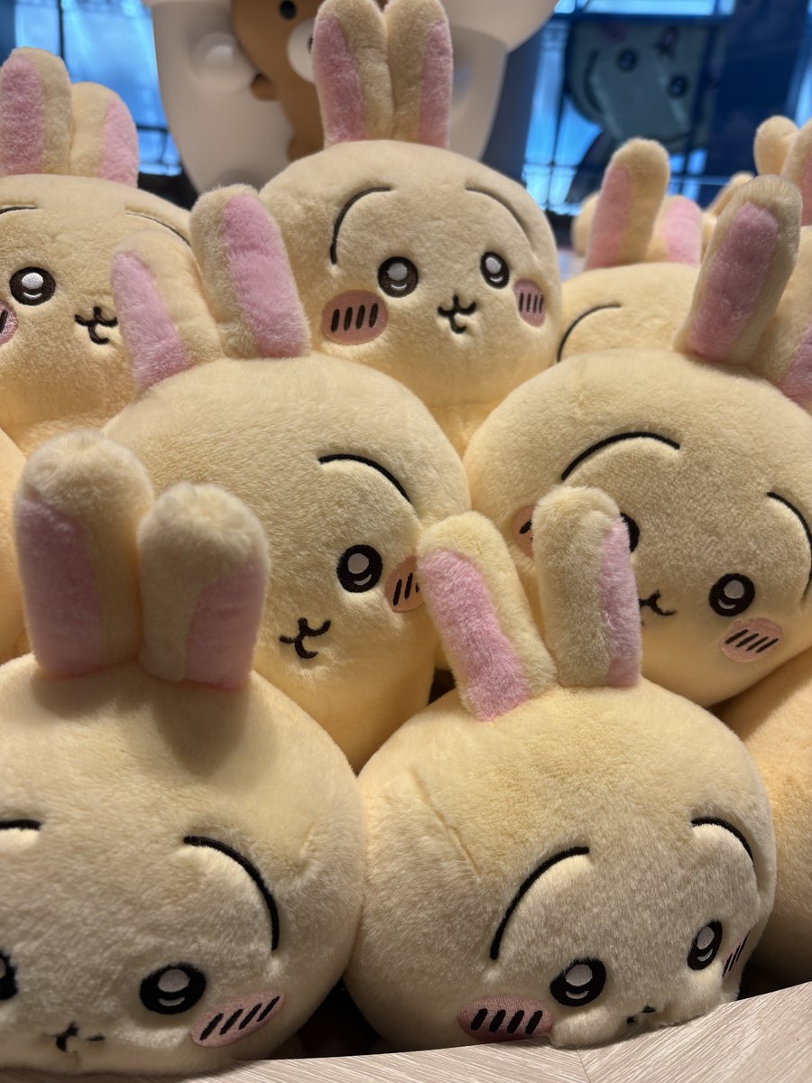 うさぎだらけ🐰
 #ちいかわパーク  #ちいかわ