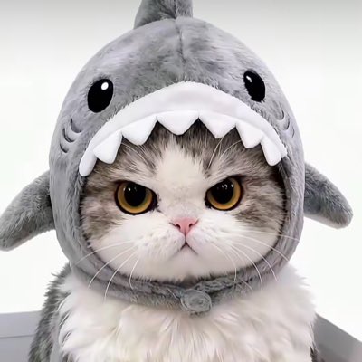 ลูกชิ้นน🍥💕 tweet media