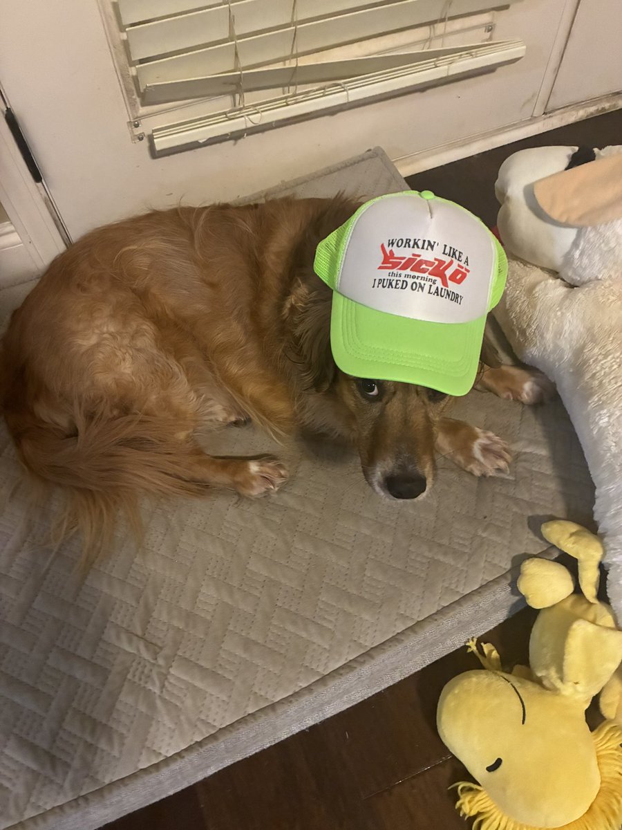 KeontaeSatcher's tweet photo. My pooch is a sickö https://t.co/4vlNL7Pbzi