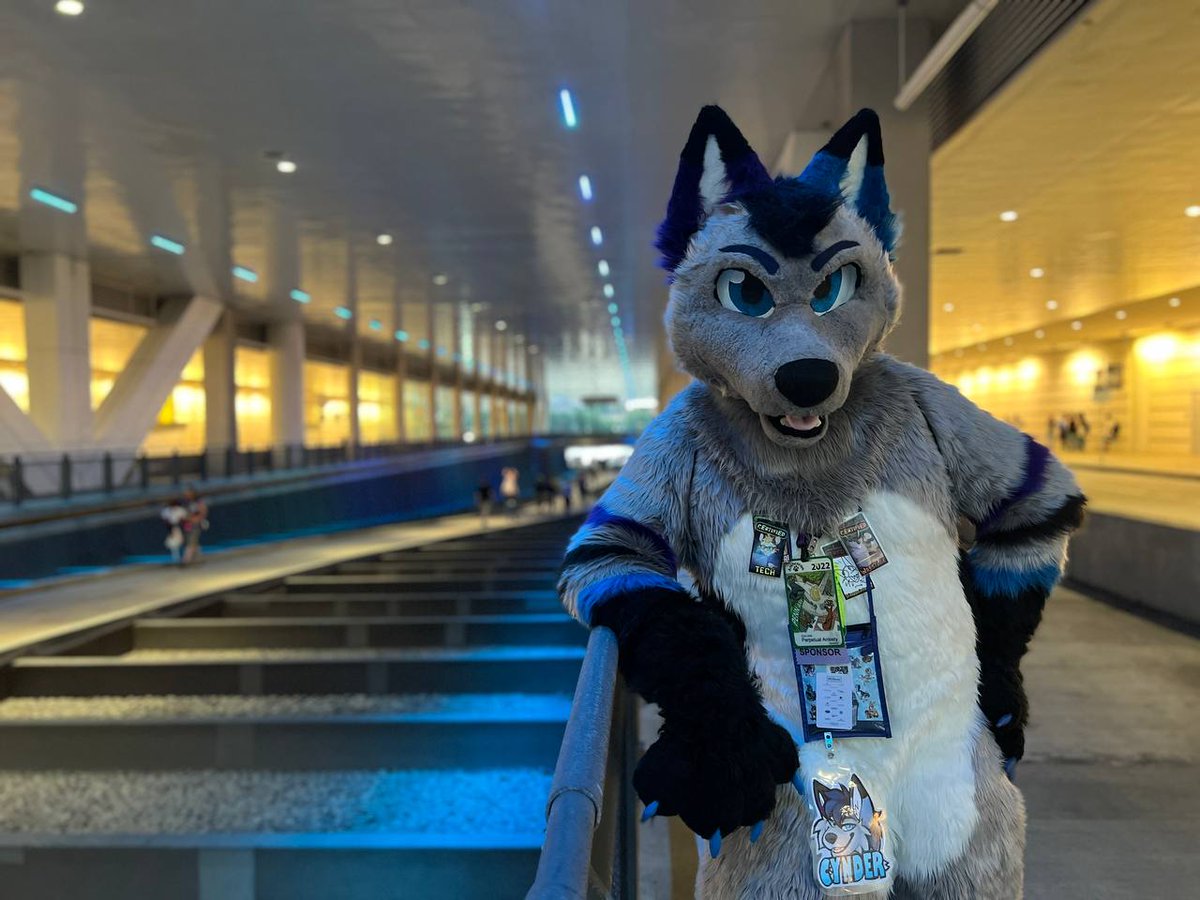 Cyndidinnimon Roll 🔜 AC tweet media