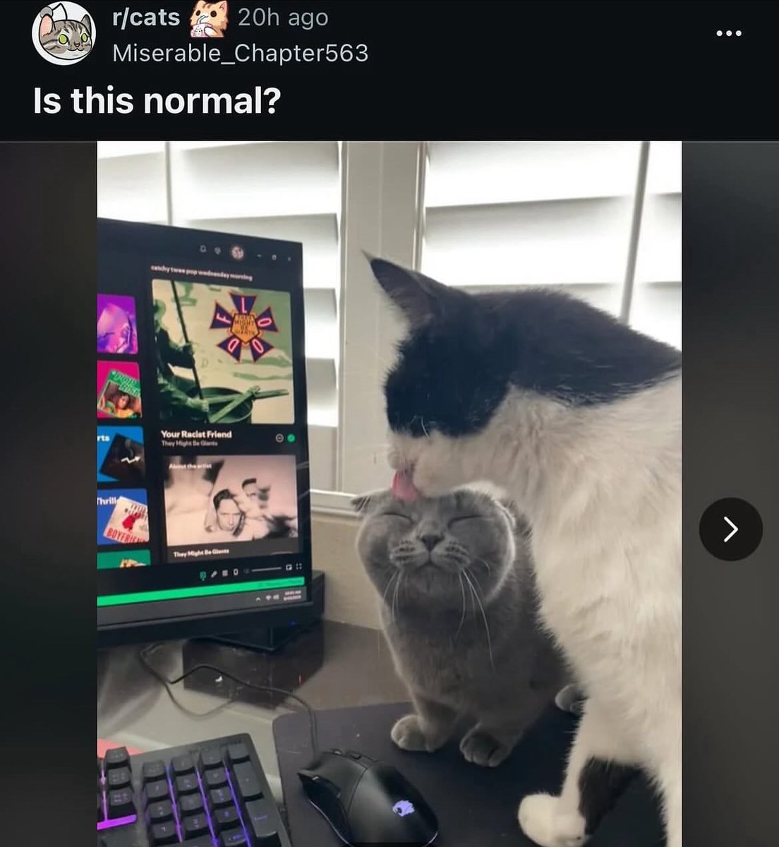 Images AI Could Never Recreate tweet media