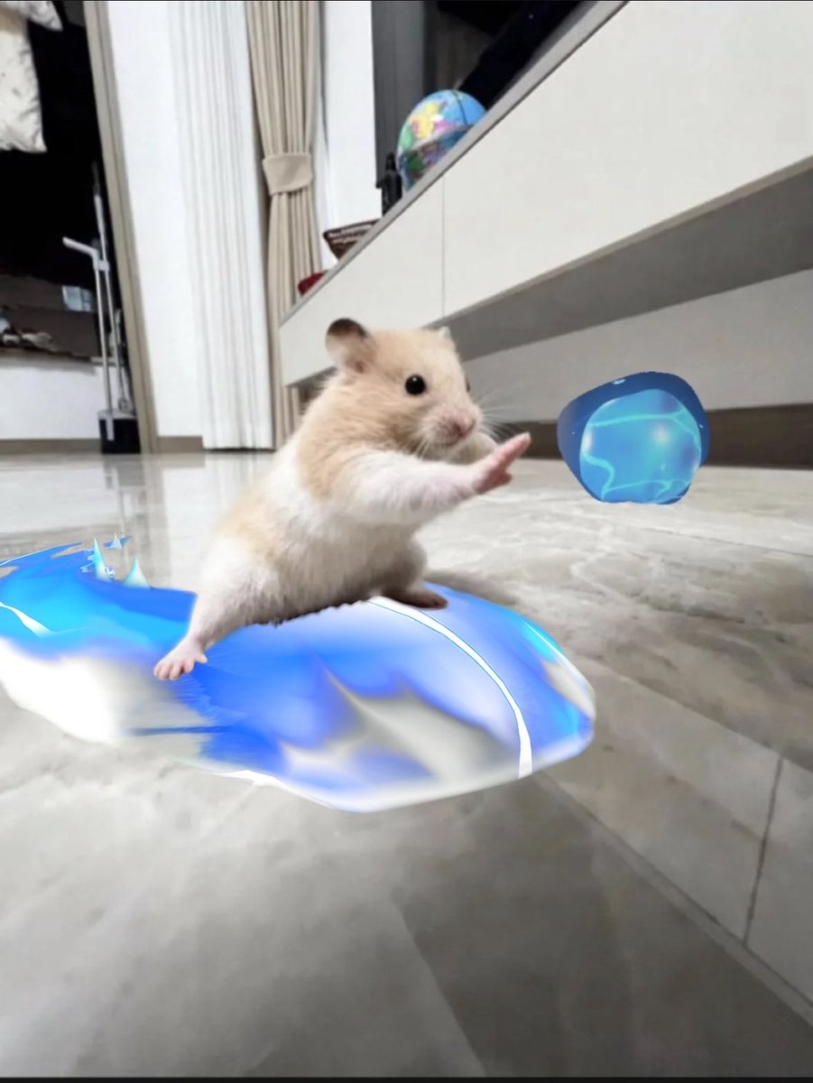 koretoma_'s tweet image. リスナーさんと夜な夜なOW2×ハムスターのコラ画像で遊んでた