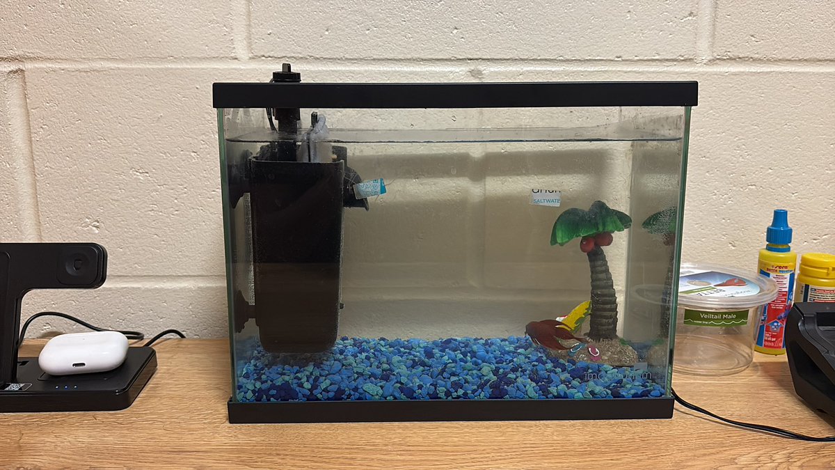 #FishDad his name is Pants