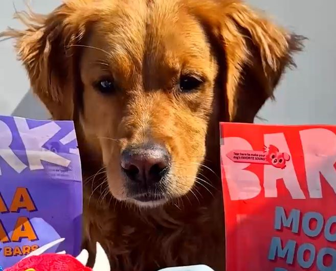 Mama Be Frugal (Heather) tweet media