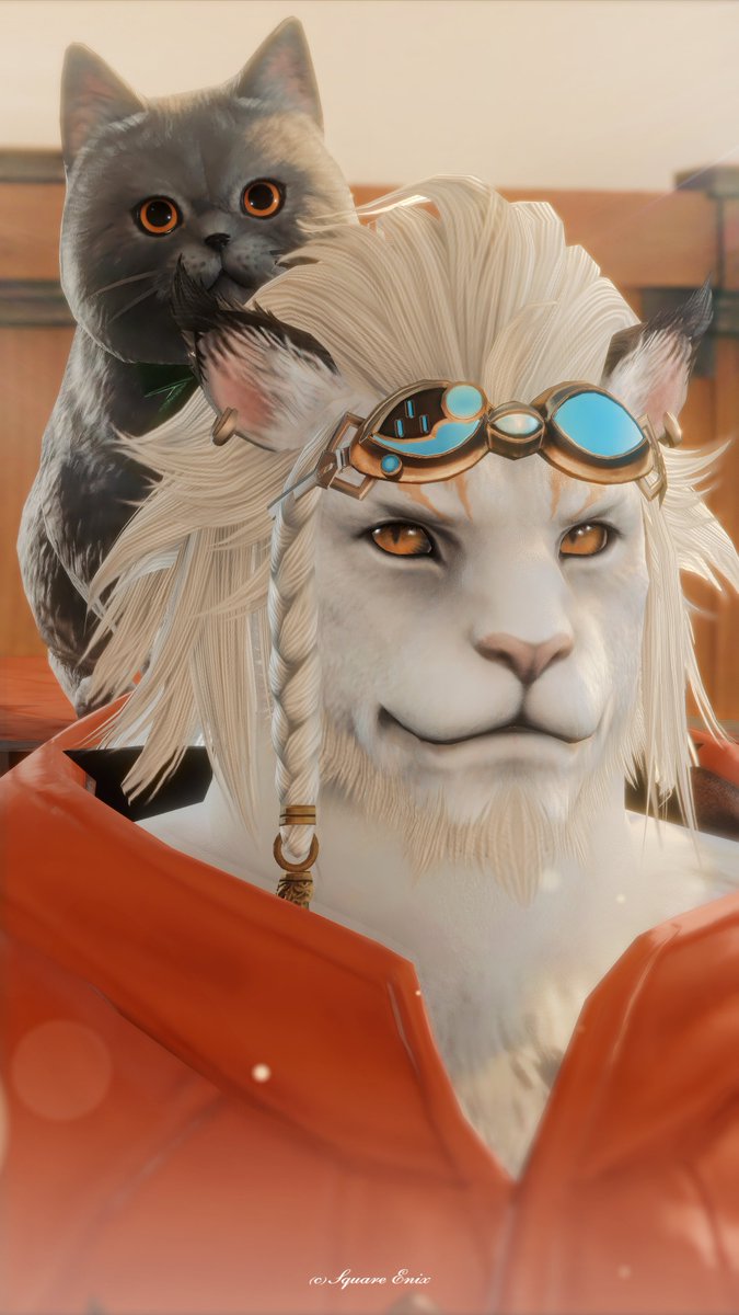 🐈‍⬛
🦁１人でも多くの人を幸せにするために！

#TLにロスガルのドアップ画像をあげて人々を幸せにしよう計画 #FF14 #ロスガル