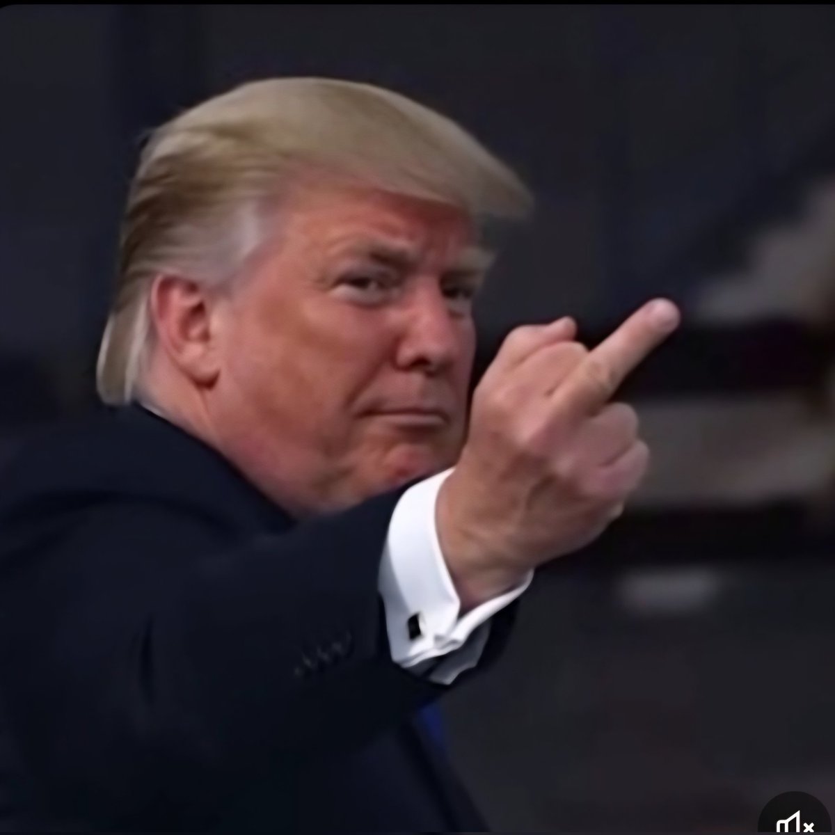 Olena Rohoza tweet media