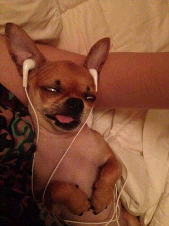 nogging_k_here's tweet image. #12시_다내게스며들어 
#강다니엘_Obsession
옵세션듣고 하룰라라로갈따람〰️