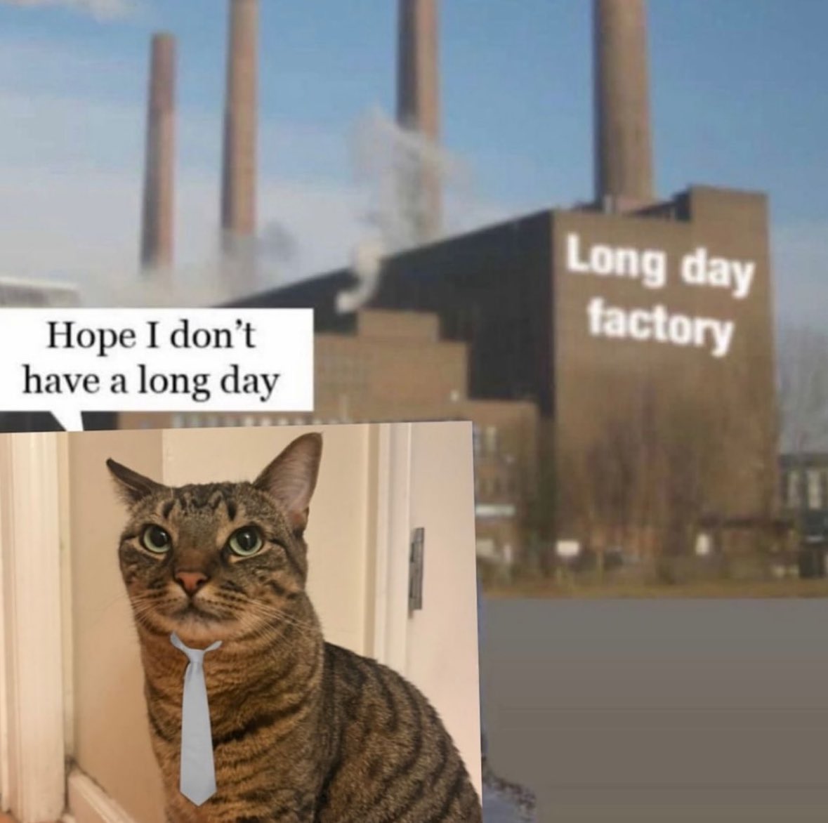 ♡ (@astralbaes) on Twitter photo 