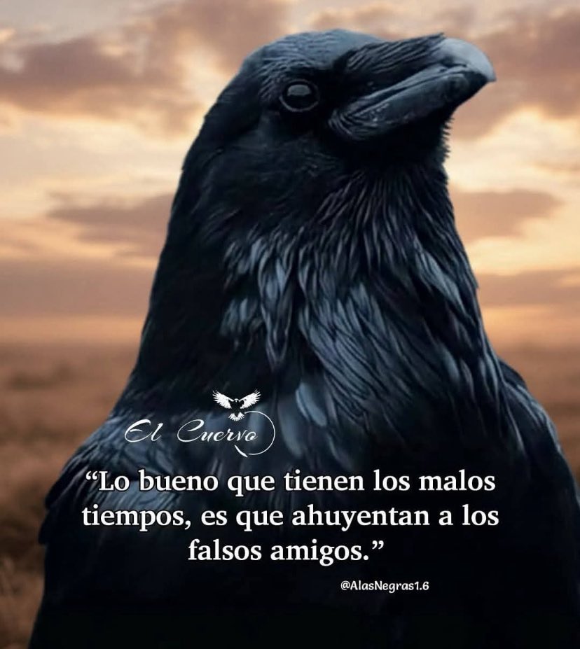 Vkyoficial (@vkyoficialmx) on Twitter photo 