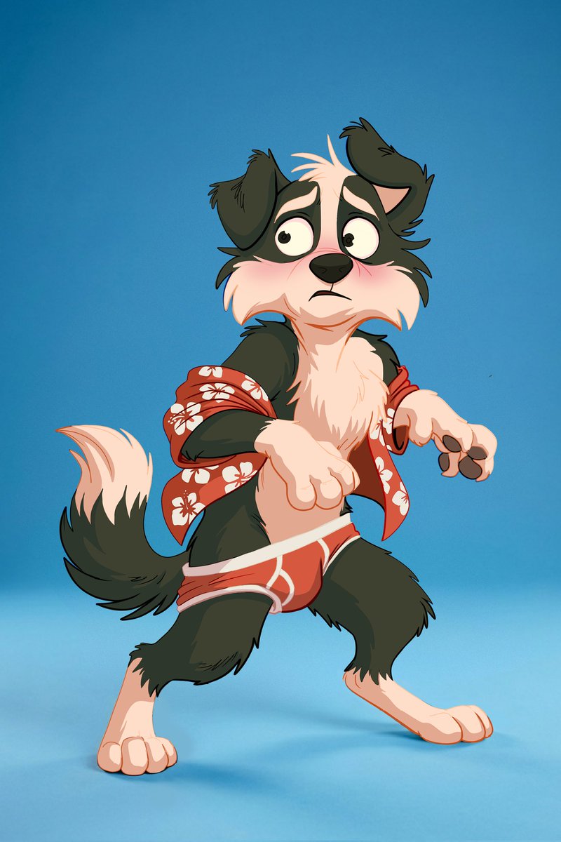 GREKO_THE_CAT tweet media