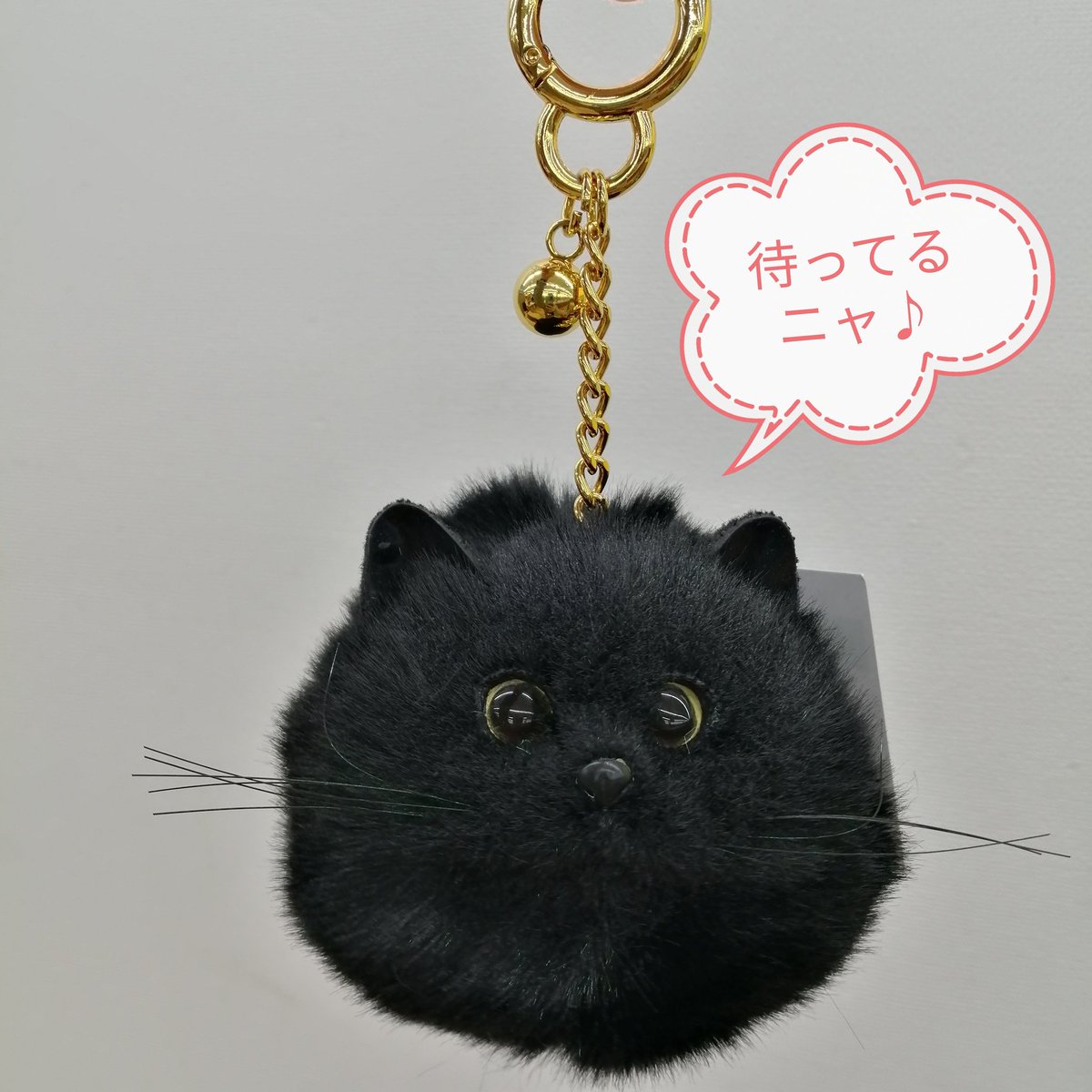 offhousemeike's tweet photo. こんにちは😀オフハウス新潟女池店です！
ねこちゃんのバッグ、チャーム入荷しました🐱
バッグは裏地が猫柄で、ファスナーの引き手には肉球が付いてます🐾
フワフワでとっも可愛いです❤
是非お店に見に来て下さい！
＃オフハウス
＃新潟市
＃ねこ https://t.co/NqmnsJrUPX