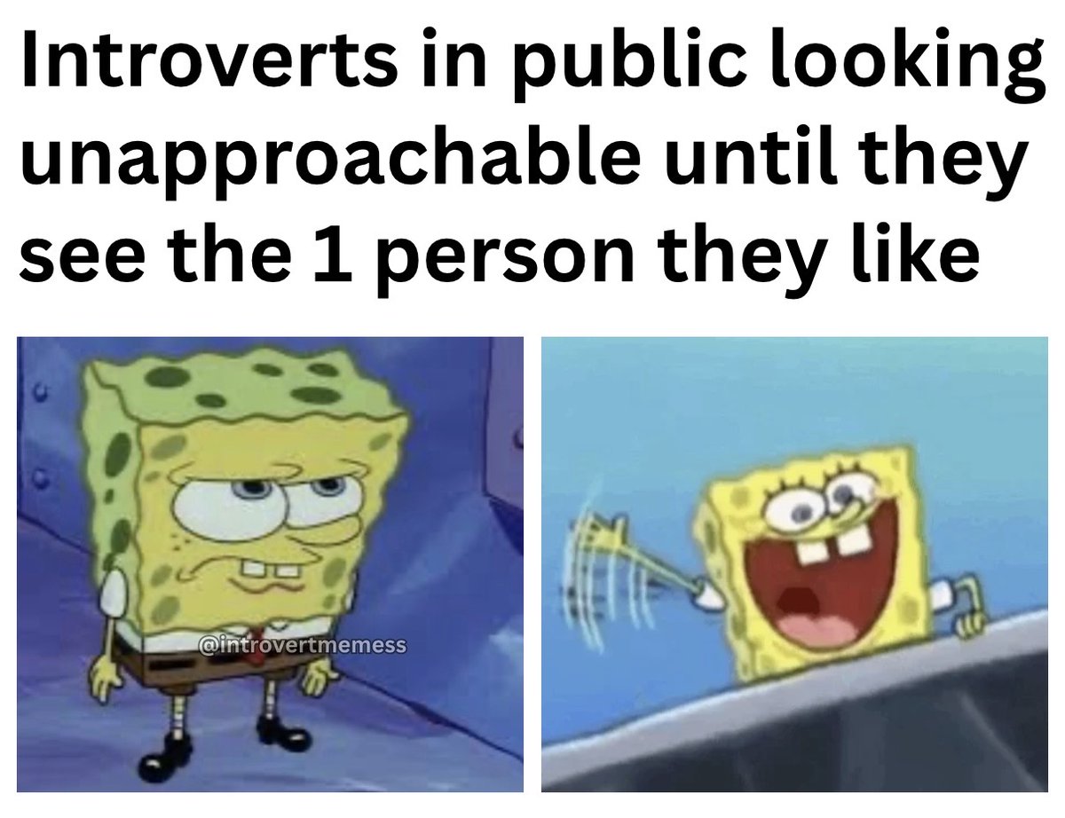 AllAbIntroverts's tweet image. 